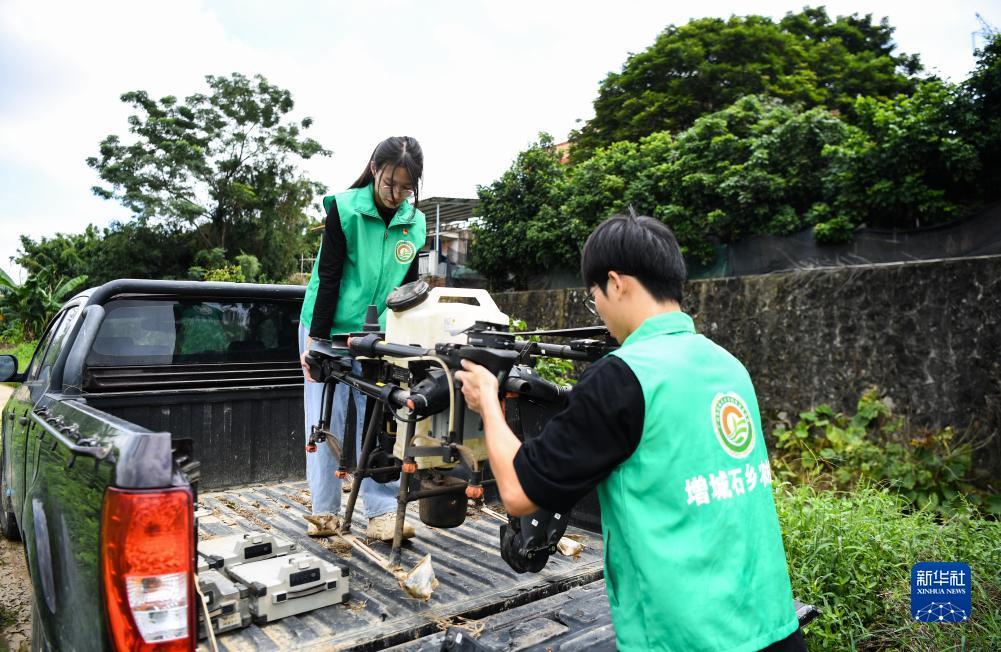 菠菜导航网大全